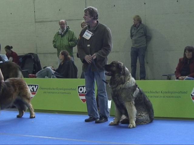 Salzburg Clubschau Mai 06 083 